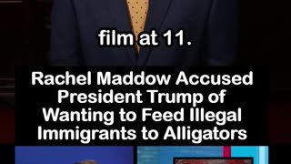 Rachel Maddow Unhinged: Says Trump Wants to Feed Illegals to Alligators