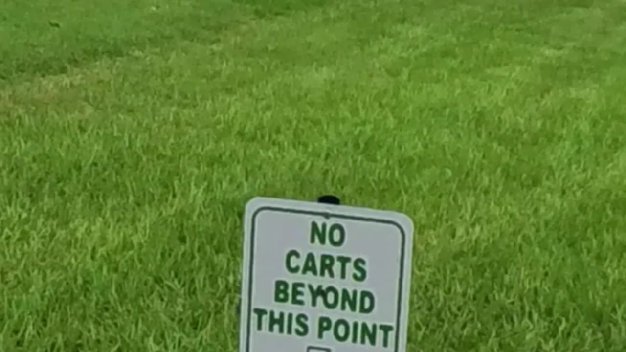 Breaking the Law