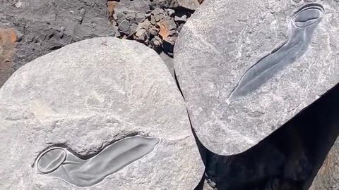 🦖😂 Man Discovers Dinosaur Protection! | FunFM