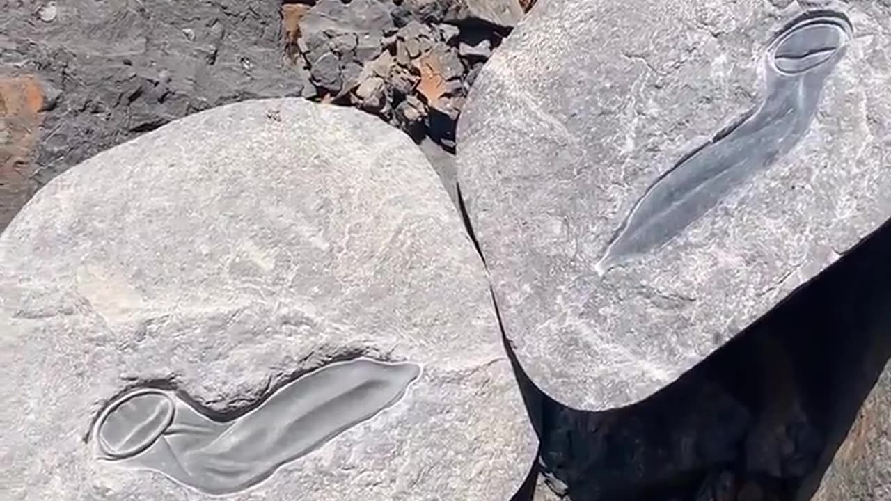 🦖😂 Man Discovers Dinosaur Protection! | FunFM