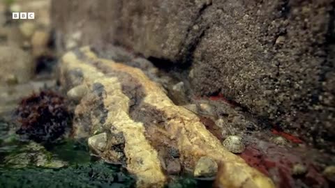 The Stone That Forged an Age: Secrets of Ancient Metalworkers BBC Timestamp