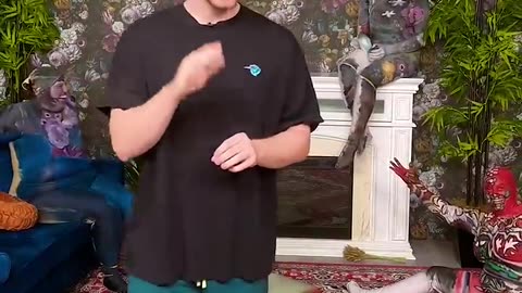 Find the Camouflaged People in 15 Seconds – $10,000 Challenge!"