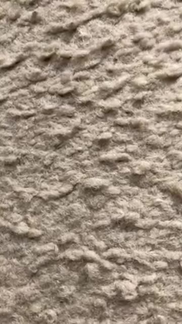 Nick Shirley exposes Minnesota’s fraud