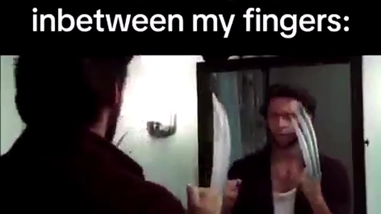 memes scavenged from the corners of the internet part 239