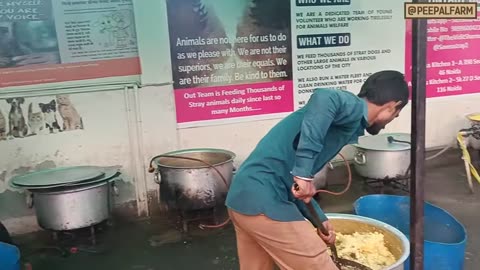 Noida ka yeh yuva rozana bharta hai 3000 stray dogs ka pet _ Inspirational and Helpful Humans