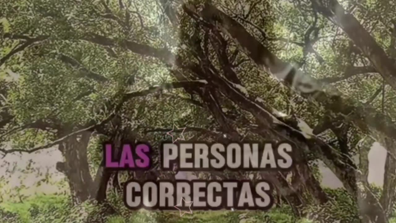 REFLEXIÓN ✨️ ✨️ ✨️ ✨️ ✨️ ✨️ ✨️ ✨️ ✨️ ✨️ ✨️ ✨️ ✨️ ✨️ 9