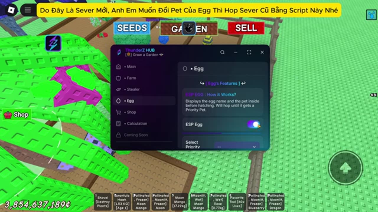 Get Bee Queen Fast Script