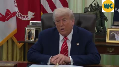 Trump Musk Fight | Trump's "Head Back To South Africa" Threat Gets A Dare From Musk