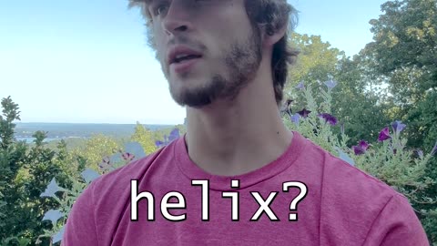 Cucumbers With Anxiety