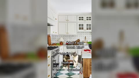 Best of Grandma The Savior Cat Memes