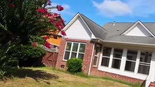 They Tried To Do The Bare Minimum 😤 | This Yard Work Ain’t It! 🚫