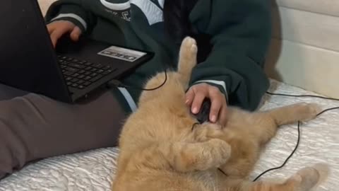 "My Cat Is a Real-Life Hero!"💋💋 | Funny & Smart Cat Moments #Shorts