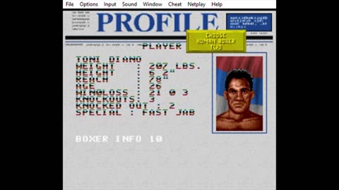 Snes Rom Muhammad Ali Heavyweight Boxing