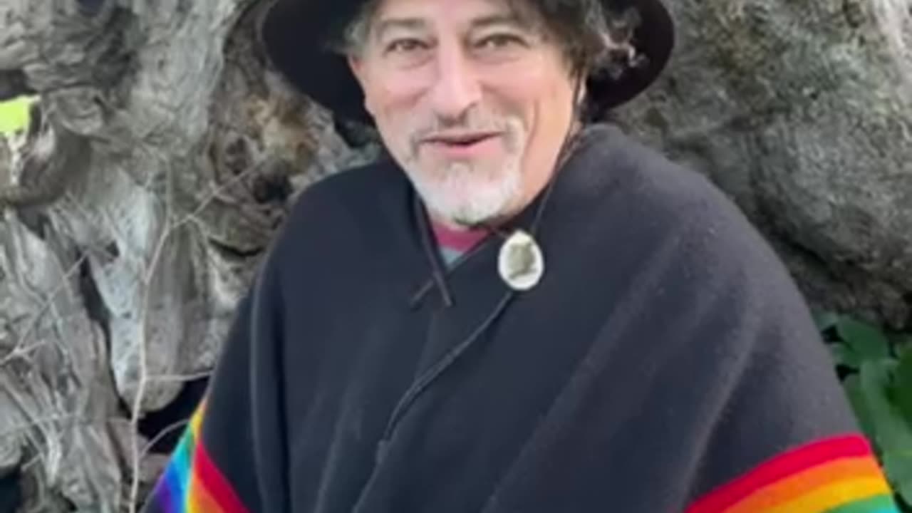 What is the Olive Tree all about?