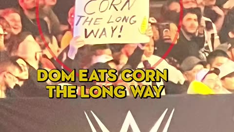 This Dom Mysterio Sign Is Hilarious