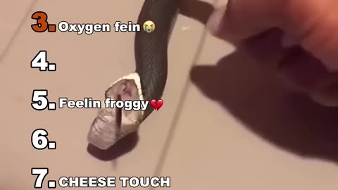 Funny video
