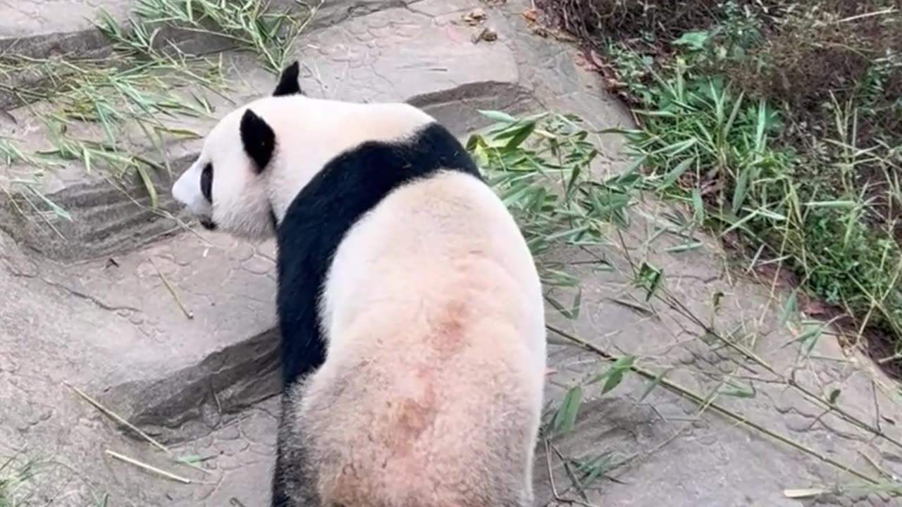 Be patient and don’t give up hope on a better future.