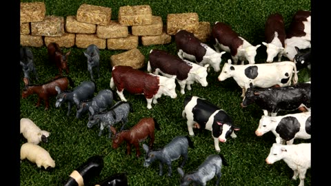 Collection of 126 Farm Animals with 42 Hay Bales - Thomas & Friends Propstore Photos