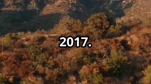 Kevin Spacey's Shocking Homelessness: From Hollywood to Hotels