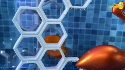 A colorful lucky wheel, surprise eggs, lobsters, snakes, koi fish