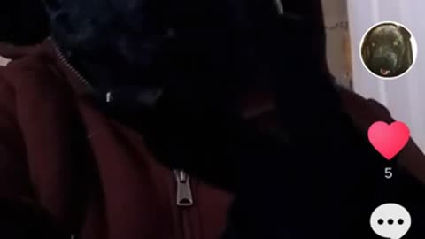 My tiktok (I don't own any of the music)