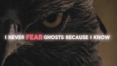 Never Fear