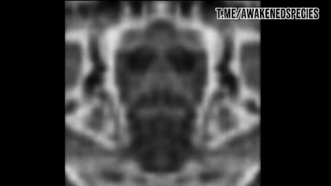 This quantum physicist that went missing after creating a device that could see multidimensional.