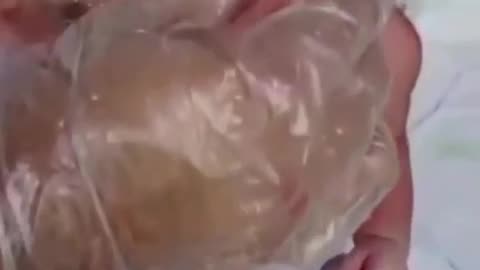 Cute born