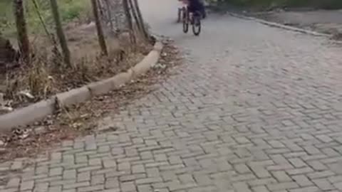 😱💥 That Seems Dangerous! | FunFM