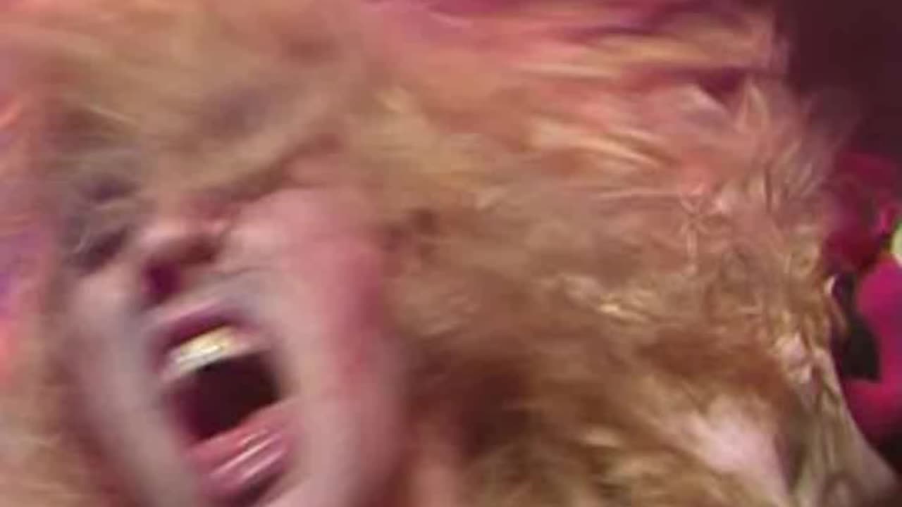 Twisted Sister - It's Only Rock'n'Roll = Live 1982