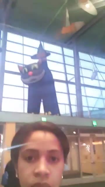 Part 22b. Selfie with cats.