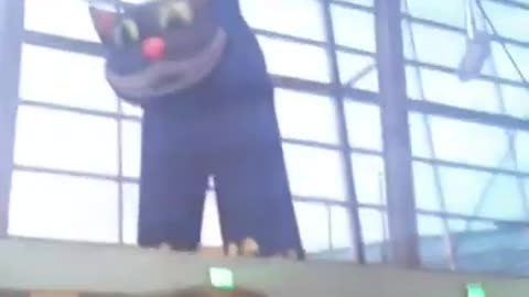 Part 22b. Selfie with cats.