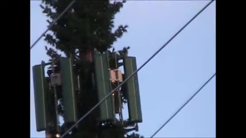 EM EMF Cell Towers That Look Like Trees~ Well Kind of..