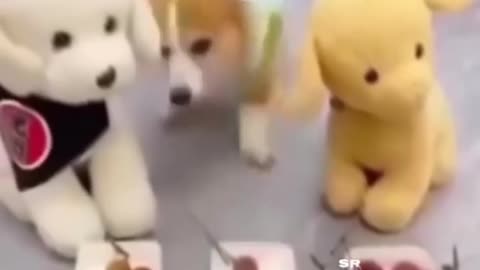 🤣🏆 This Performance DESERVES an Oscar! | FunFM
