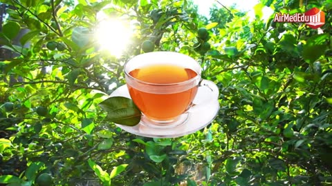 ¿Para qué Sirve el Té de Hojas de Limón?