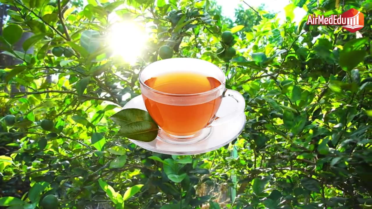 ¿Para qué Sirve el Té de Hojas de Limón?