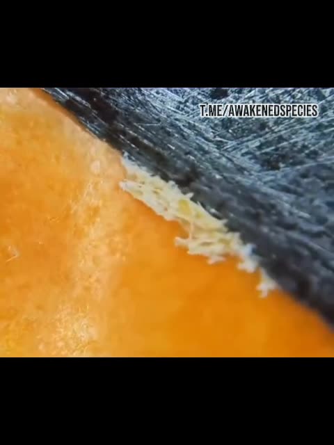 Keep your kids away from this stuff.