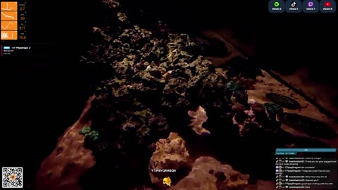 24/7 Real Live Reef Stream