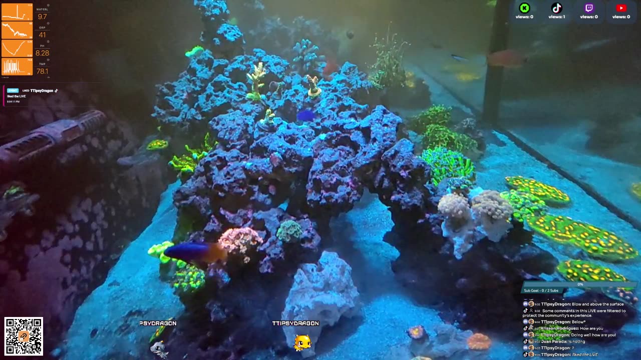 24/7 Real Live Reef Stream