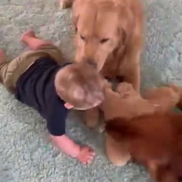 Funny moments 🍼 baby's 🍼