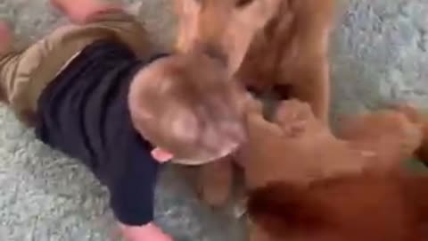 Funny moments 🍼 baby's 🍼