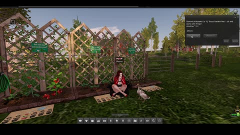 Gemini in Second Life