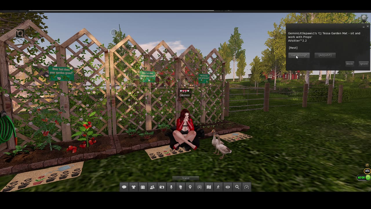 Gemini in Second Life