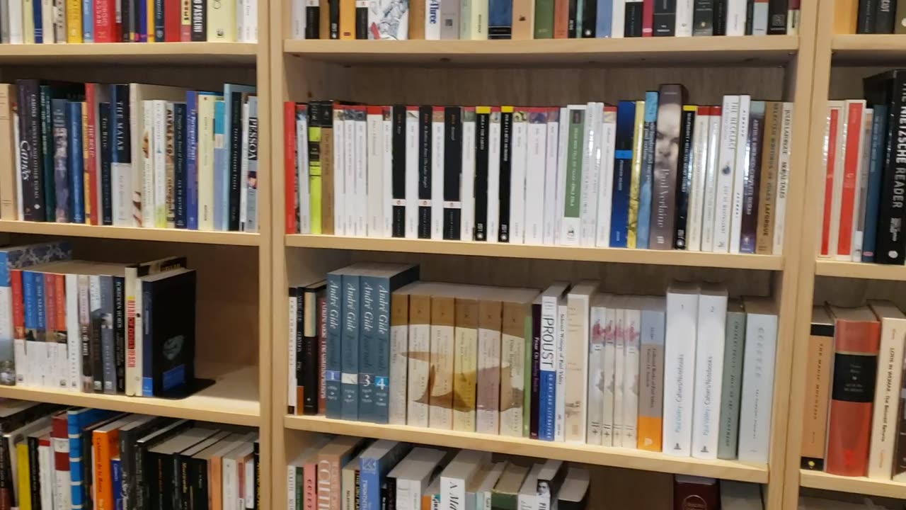 A Library Tour (part 2/2) - The Essentials of Western Literature
