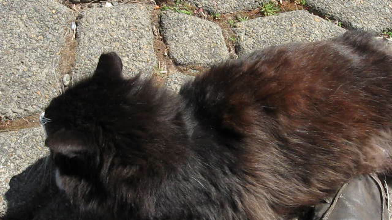 Here's Baby 4/23/25: