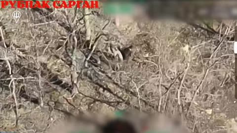 Russian Was So Engrossed in Beating His Comrade He Missed the Arrival of Ukrainian Drone