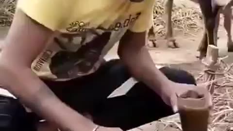 I guess they got drunk after drinking their 💩 shake. #drunk, #drinking, #💩shake, #india,