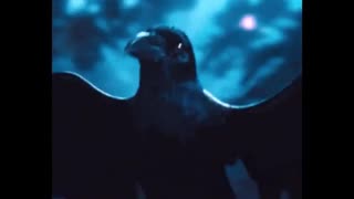 Max Igan, WALK AND TALK, Aug 28, 2025 .......