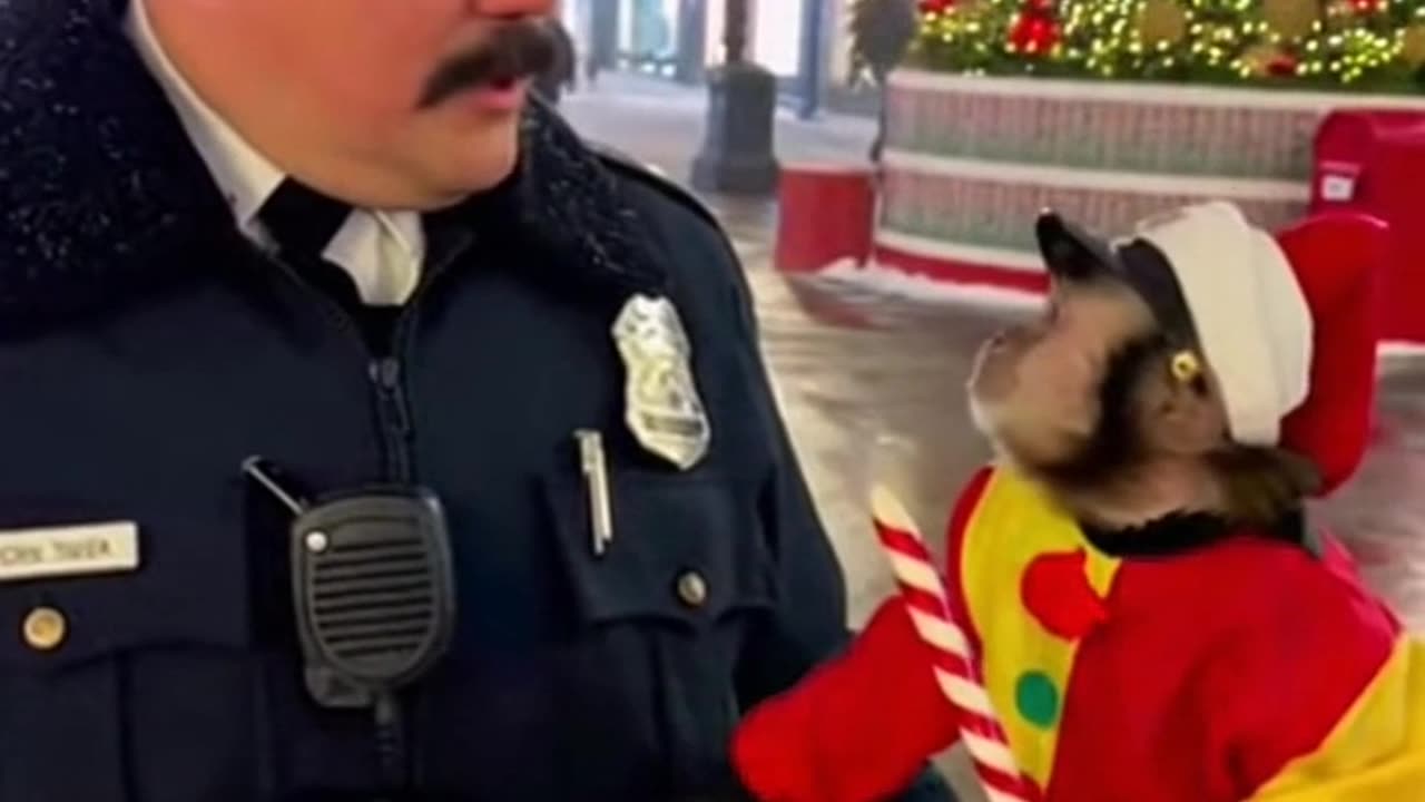 The Christmas Copycat Monkey