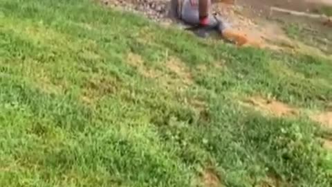 Man gets slammed and stomped out for calling another man a bitch